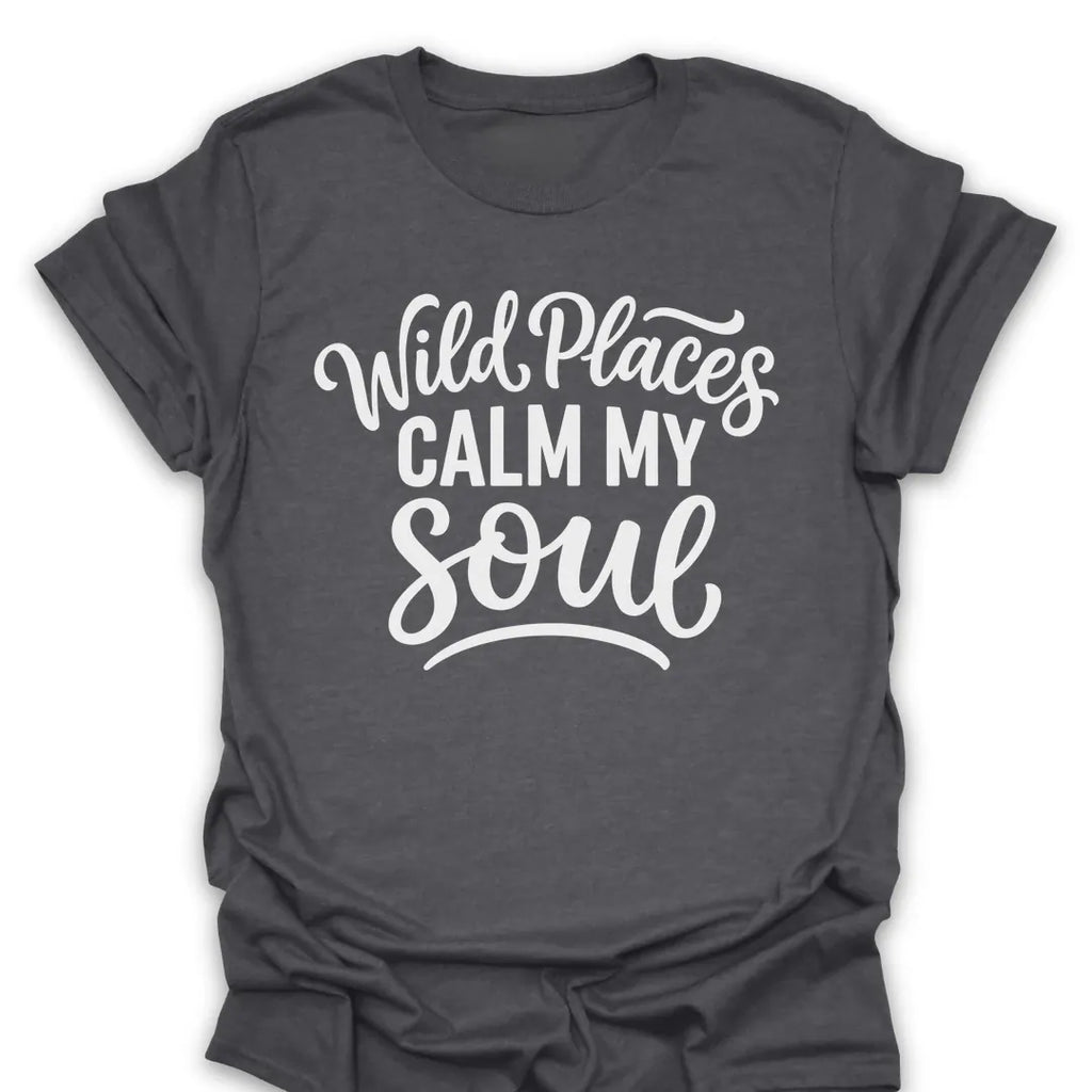 T-Shirt Dark Heather / S Wild Places Calm My Soul T-Shirt