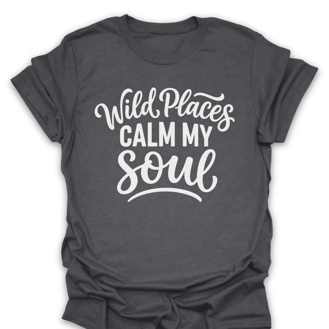 T-Shirt Dark Heather / S Wild Places Calm My Soul T-Shirt